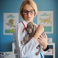 Зоопсихолог