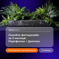 Фитодизайн